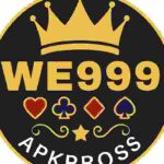 WE999 Game