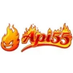 Api55 Game