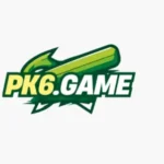 PK6 Game