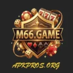 M66 Game