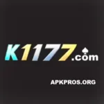 K1177 Game