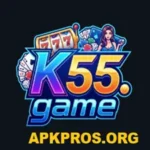 K55 Game