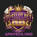 804Slot Game